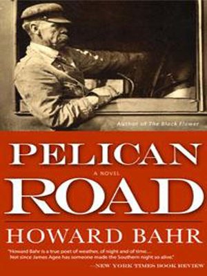 cover image of Pelican Road